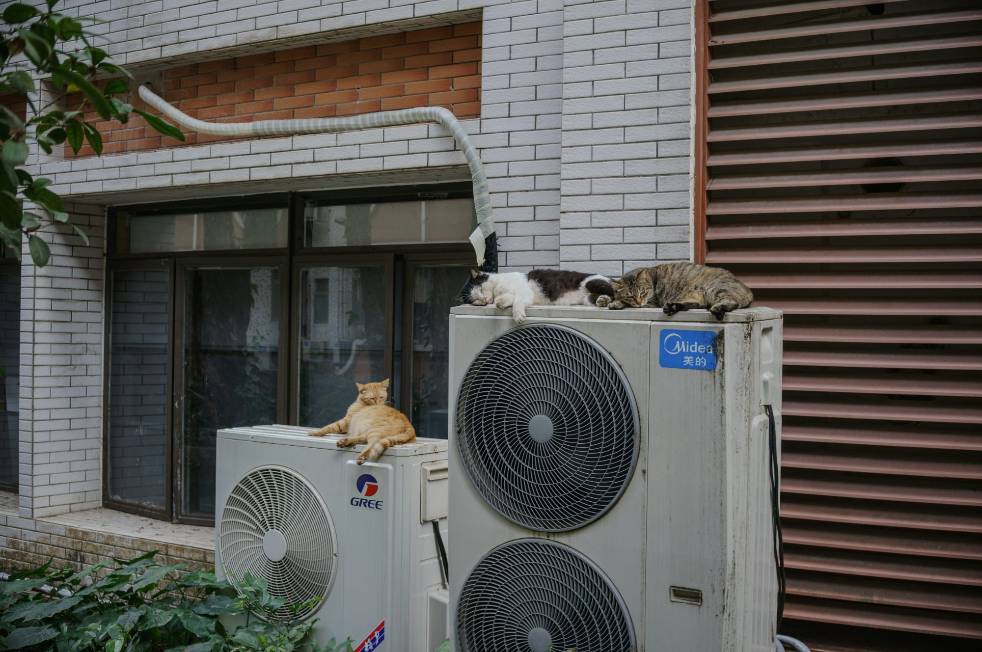 Multiple AC condensing units outside building